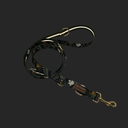 Hundeleine Urban meets Nature Forest Walkies