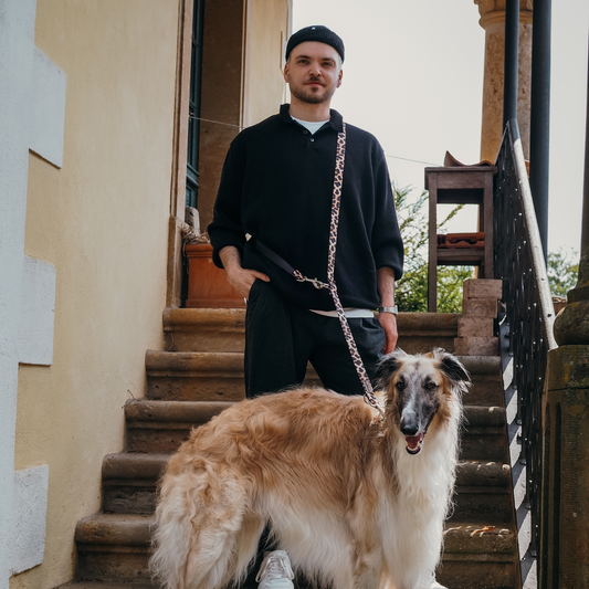 Hundeleine Stay Wild Leo