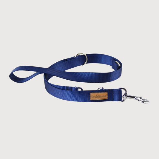 Hundeleine Basic Blau