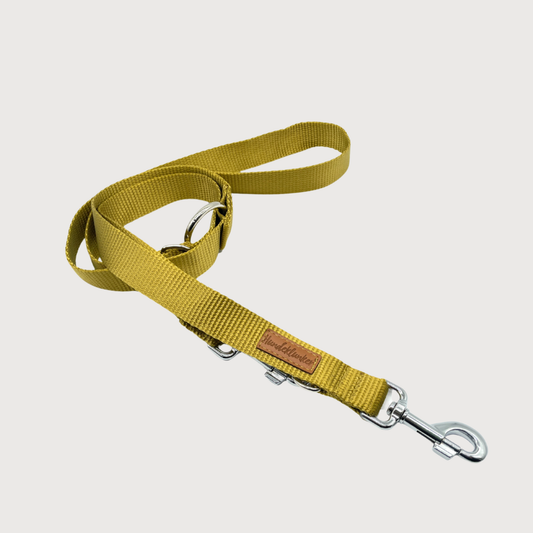 Hundeleine Basic Champagner