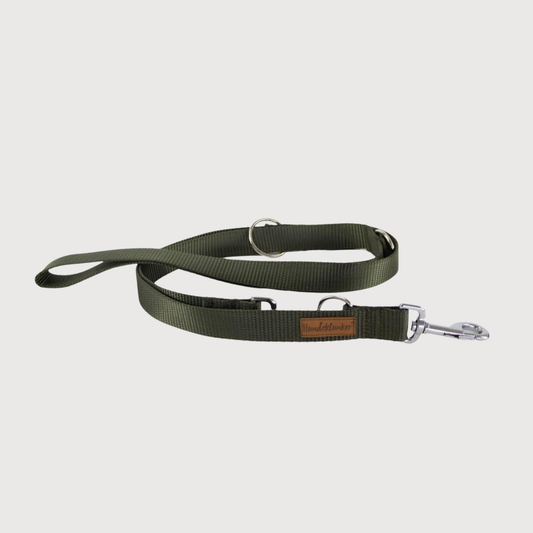 Hundeleine Basic Oliv