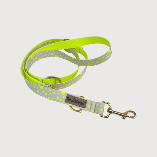 Hundeleine La vie est belle Hello Summer