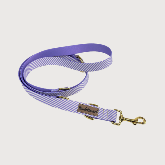 Hundeleine La vie est belle Bon Voyage