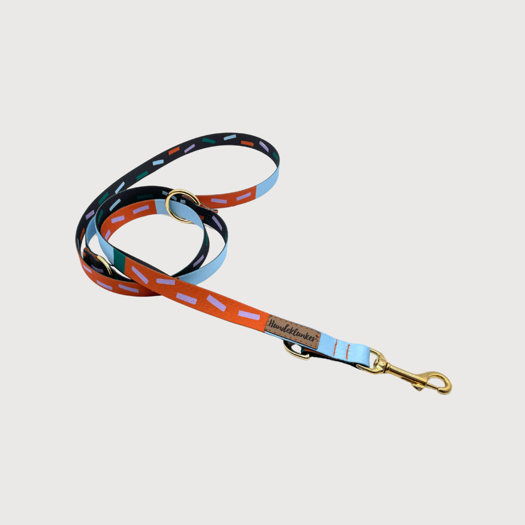 Hundeleine Juno Hi! Spencer