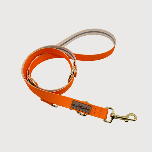 Hundeleine Urban meets Nature Pumpkin