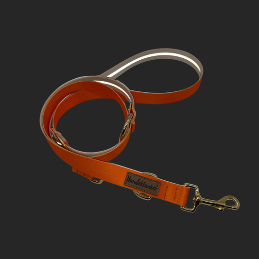 Hundeleine Urban meets Nature Pumpkin