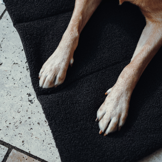 Hundedecke To Go Stay Wild Teddy Black Neongelb