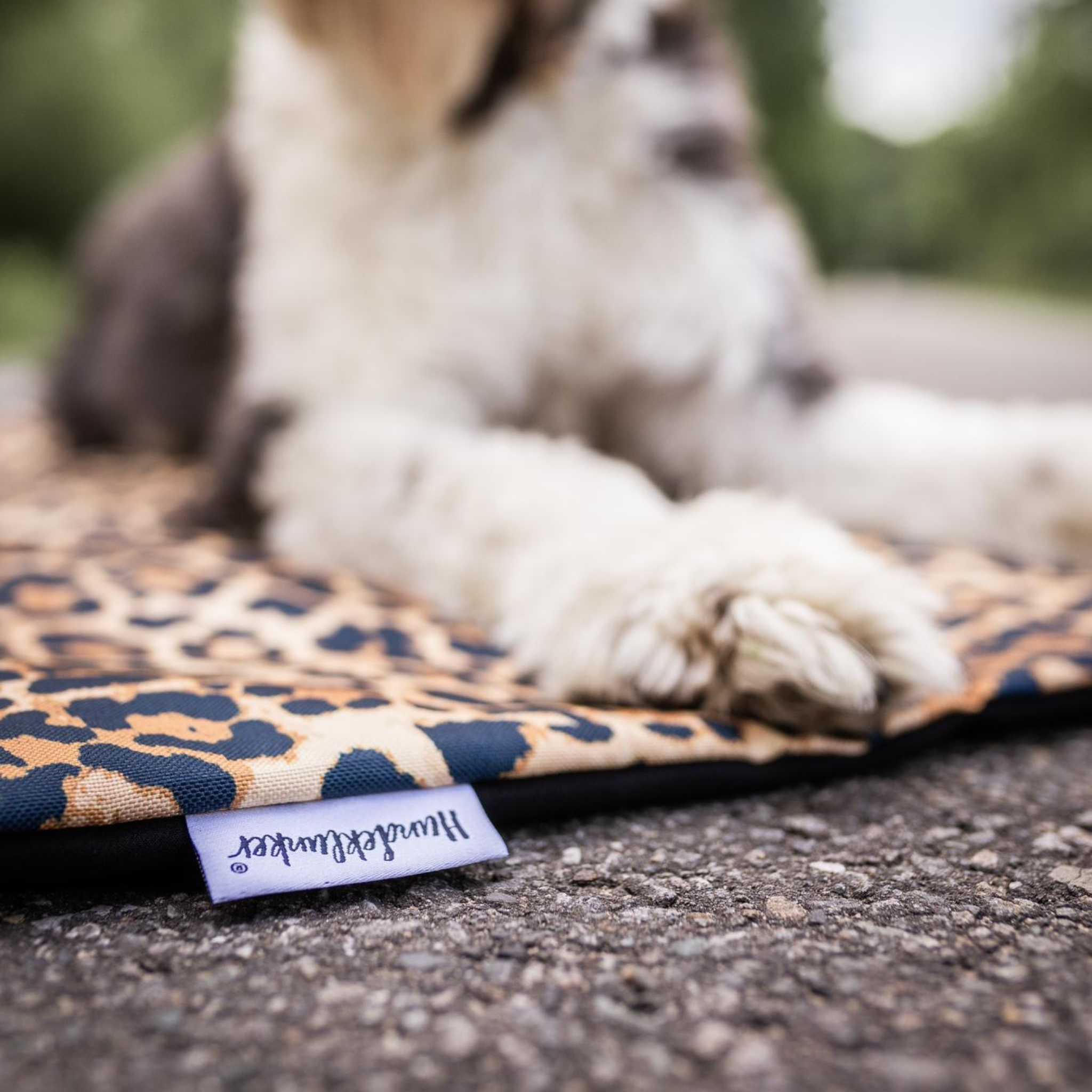 Hundedecke To Go Stay Wild Leo Black